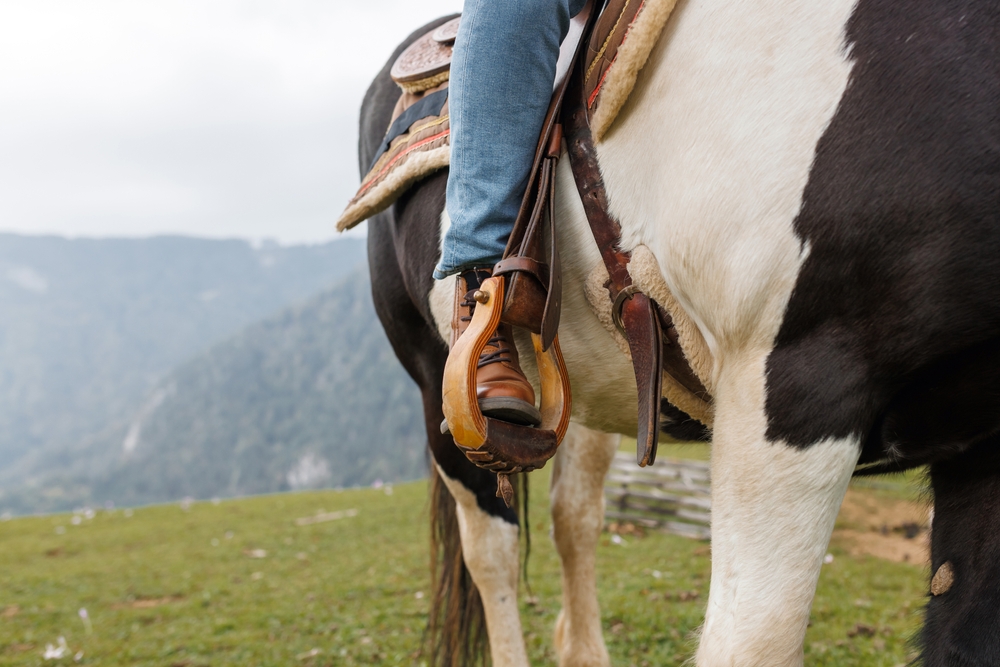 Person's boot in stirrup on a brown-and-white horse with mountain backdrop